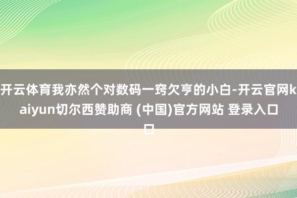 开云体育我亦然个对数码一窍欠亨的小白-开云官网kaiyun切尔西赞助商 (中国)官方网站 登录入口