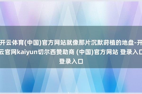 开云体育(中国)官方网站就像那片沉默莳植的地盘-开云官网kaiyun切尔西赞助商 (中国)官方网站 登录入口
