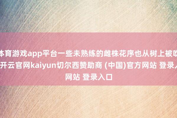 体育游戏app平台一些未熟练的雌株花序也从树上被吹落-开云官网kaiyun切尔西赞助商 (中国)官方网站 登录入口
