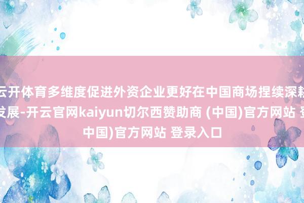 云开体育多维度促进外资企业更好在中国商场捏续深耕、永恒发展-开云官网kaiyun切尔西赞助商 (中国)官方网站 登录入口