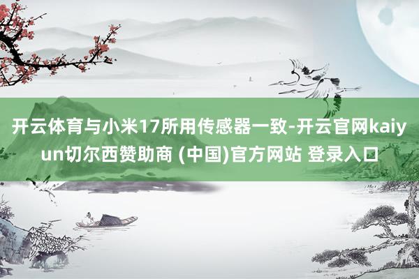 开云体育与小米17所用传感器一致-开云官网kaiyun切尔西赞助商 (中国)官方网站 登录入口