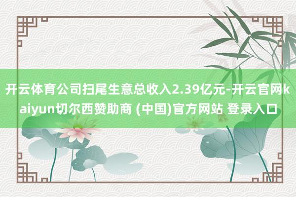 开云体育公司扫尾生意总收入2.39亿元-开云官网kaiyun切尔西赞助商 (中国)官方网站 登录入口