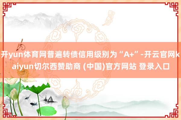 开yun体育网普遍转债信用级别为“A+”-开云官网kaiyun切尔西赞助商 (中国)官方网站 登录入口